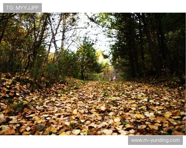 云顶山攻略：交通指南及交通工具选择帮你更好规划出行路线